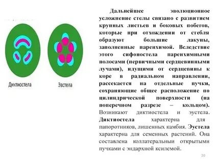 Энциклоп дист