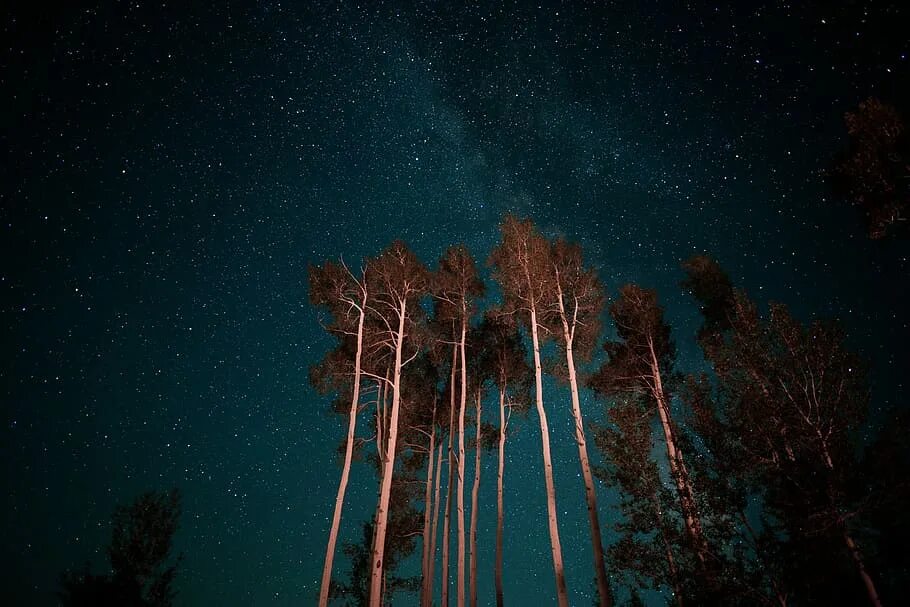 Днем высокое ночью низкое
