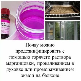 Обработка марганцовкой земли в теплице