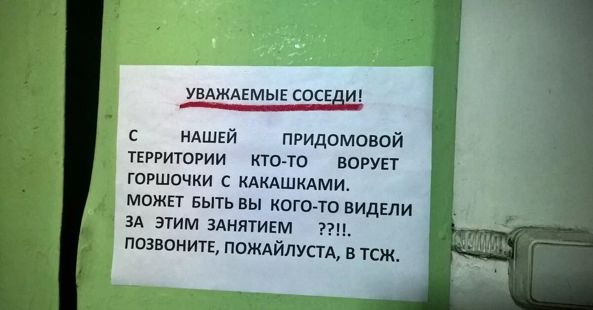 Украли звонок. Воруют соседи. Уважаемые соседи надпись. Соседка ворует. Объявление про тех кто ворует.