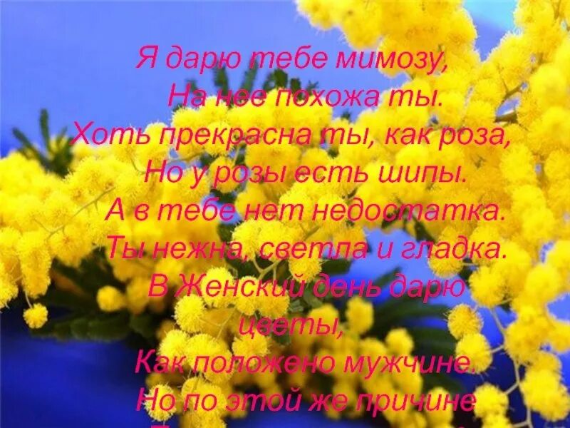 Подарю мимозу маме