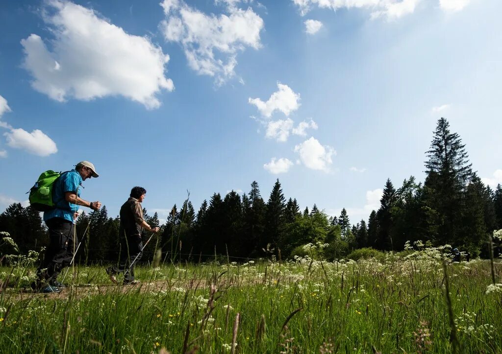 Tourism ecotourism. Экологический туризм. Экотуризм в России. Экотуризм в лесу. Активный рекреационный экотуризм.