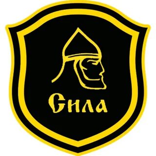 Сила охранное предприятие