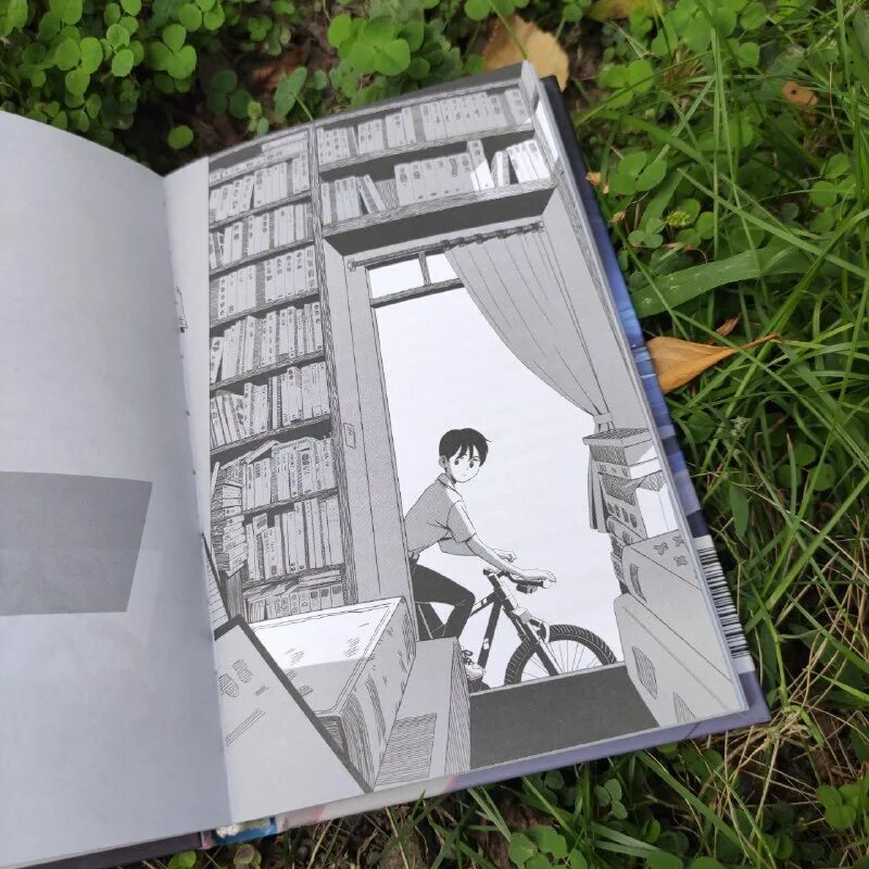 аллея волшебных книжных