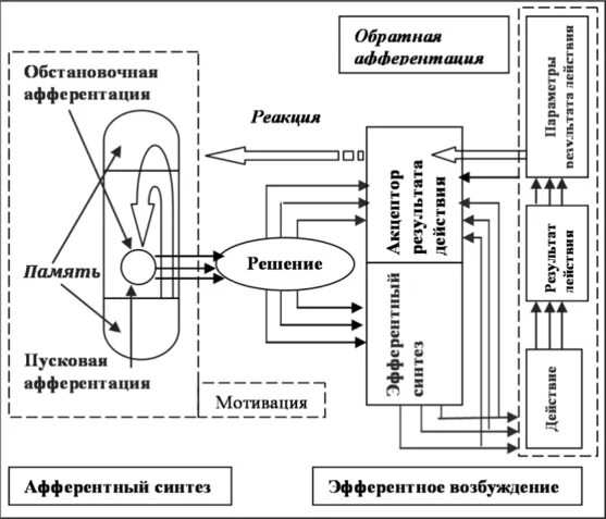 Афферентация это. Архитектоника функциональной системы поведенческого акта. Схема поведенческого акта. Схема центральной архитектоники поведенческого акта. Схема системной архитектоники поведенческого акта.