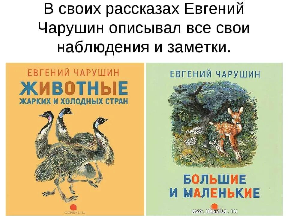 Сказка е чарушина читать