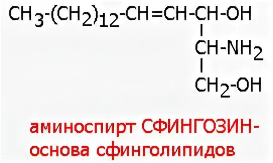Глицерин содержит группы. Сфингозин структурная формула.