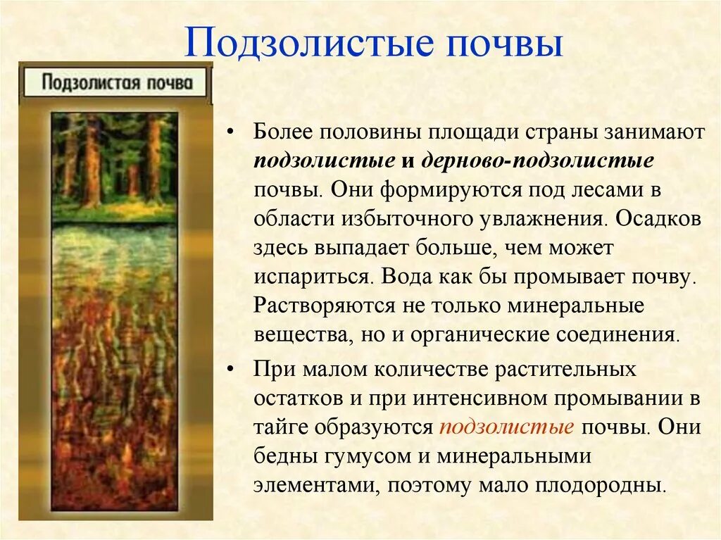 Мощность дерново подзолистых почв. Дерново-подзолистые, торфяно-подзолисто-глеевые, болотные почвы.. Природная зона дерново-подзолистой почвы таблица. Дерново-подзолистые почвы природная таблица. Дерново-подзолистые почвы увлажнение.