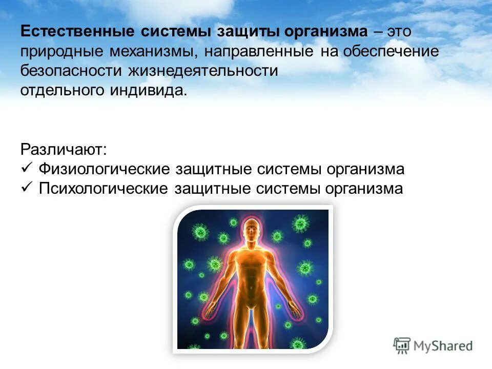 Защита организмов тест