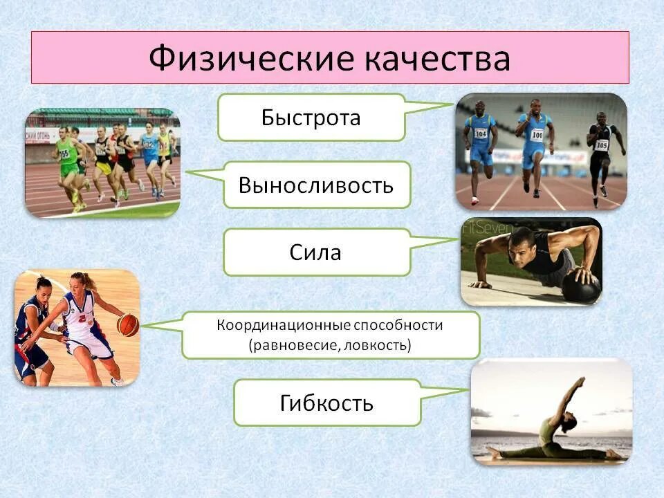 Качества которые развивают командные виды спорта. Физические качества. физические качества это в физкультуре. сила выносливость ловкость гибкость быстрота это. сила скорость выносливость.
