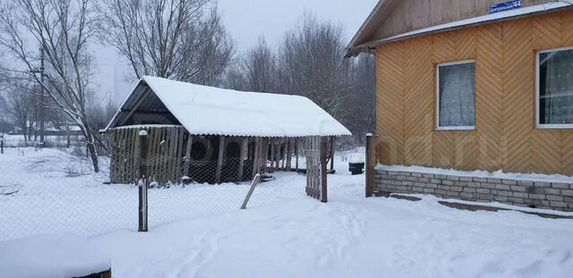 Шершни псковская область. Шершни псковская область