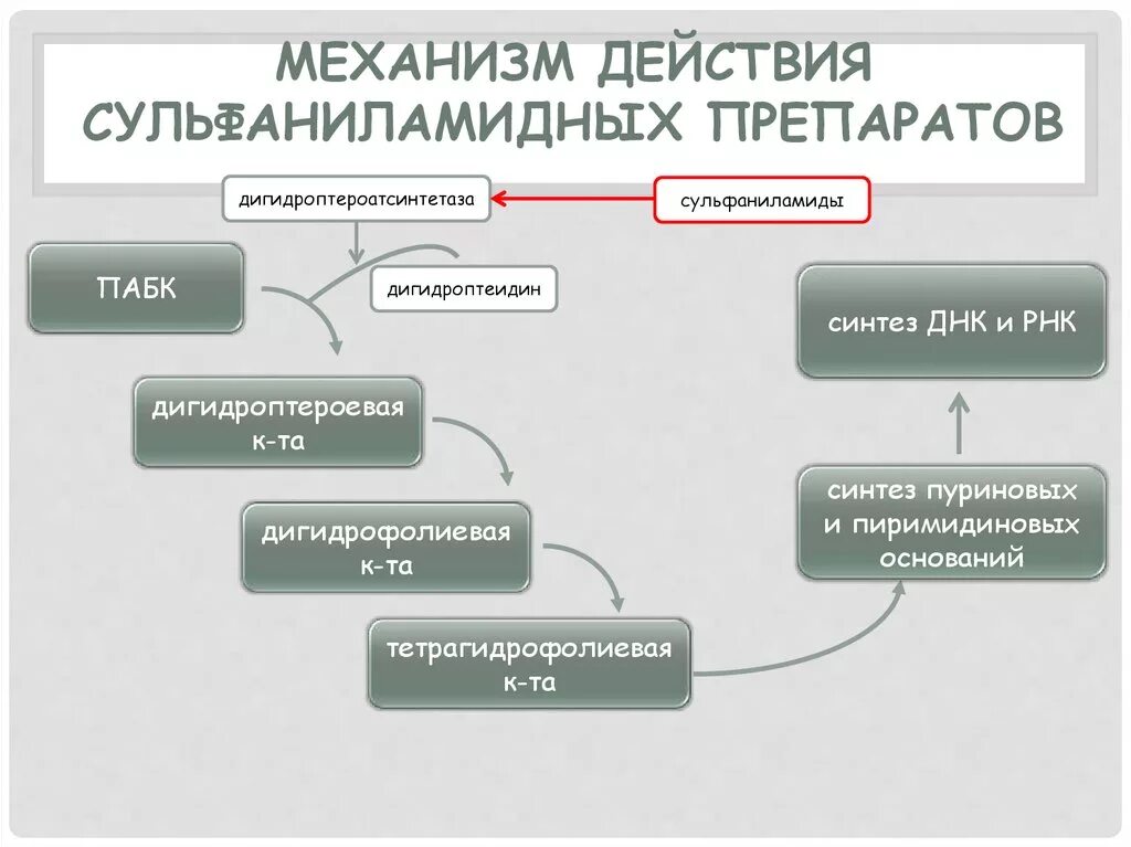 Препарат биохимия. Механизм противомикробного действия сульфаниламидов. Схема действия сульфаниламидных препаратов биохимия. Механизм активности сульфаниламидных препаратов. Схема механизма действия сульфаниламидных препаратов.