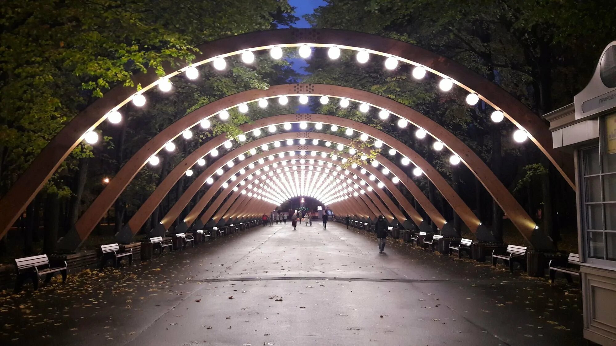 Сокольники. Парк горького сокольники. сокольнический парк москва. лесопарк сокольники. парк сокольники дуги.