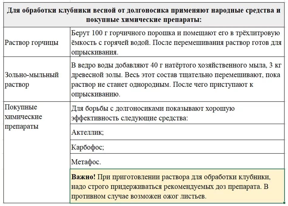 Весенняя обработка клубники. Препараты от долгоносика на клубнике весной. Время обработки клубники от долгоносика весной. Дачные секреты от виктории радзевской. Колпак на клубнику от долгоносика.