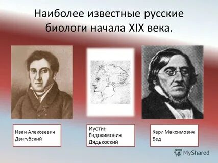 19 век биология открытия