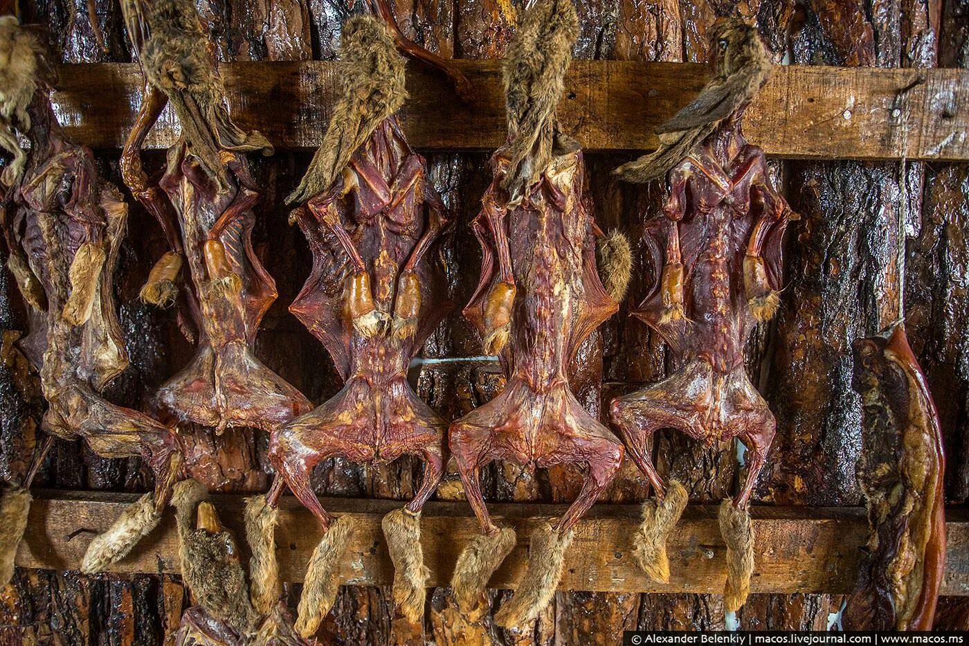 Странные деликатесы. Блюдо из паука. Необычная еда в китае. Странные деликатесы. Сирако японская еда.