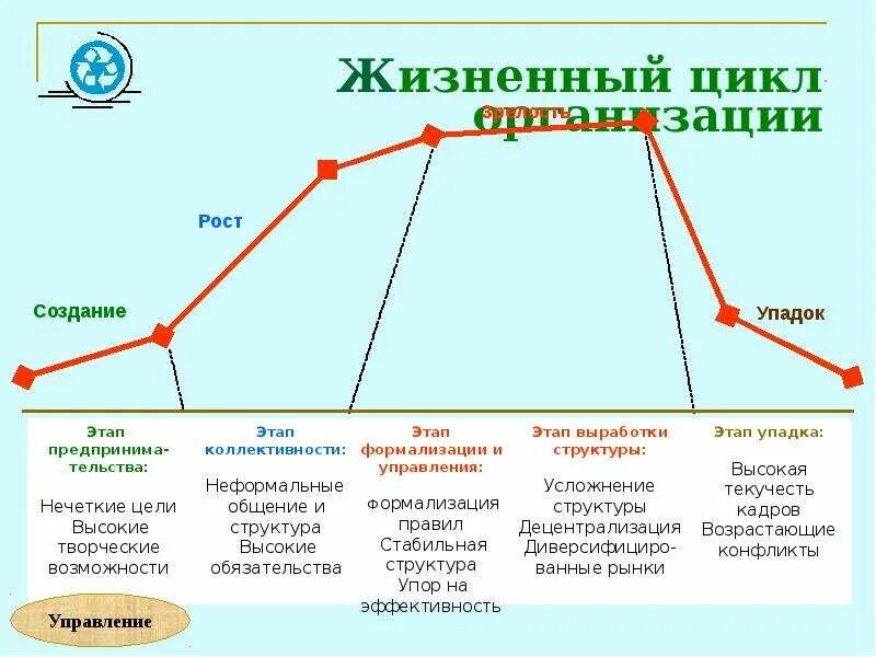 Жизненные стадии компании