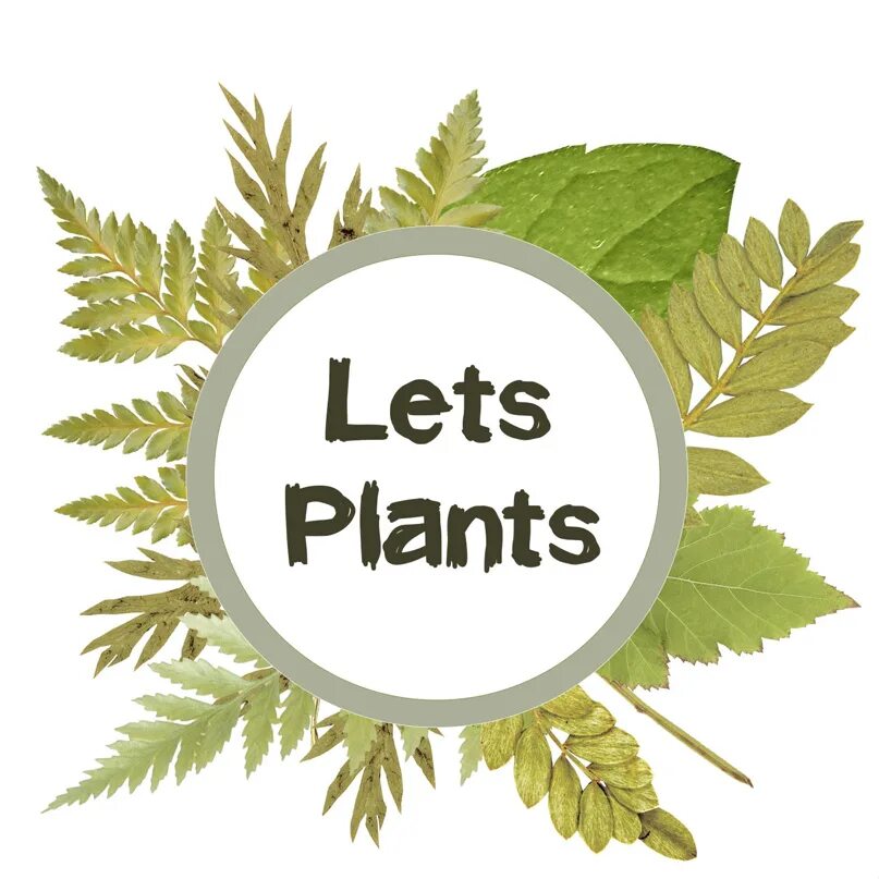 Lets plant. Растения надпись. Красивая надпись Plants. Let's Plant. The good Plants надпись вектор.