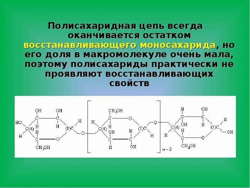 Модель молекулы крахмала. Молекула полисахарида. Крахмал образуется в растениях. Целлюлоза полисахарид. Крахмал остатки глюкозы.