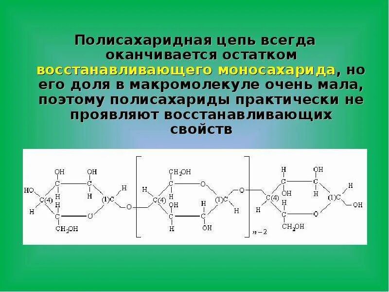 Полисахаридная цепь. Первичная структура полисахаридов. Цепочка полисахаридов. Полисахаридные цепи целлюлозы являются. Биополимеры полисахариды