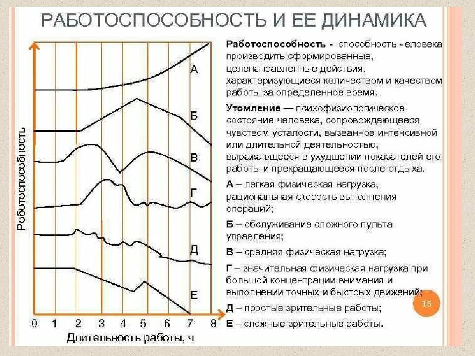 Работоспособность изменяется в течение. Динамика работоспособности БЖД. Работоспособность человека и ее динамика БЖД. Работоспособность ее динамика и фазы. Работоспособность и ее динамика таблица.