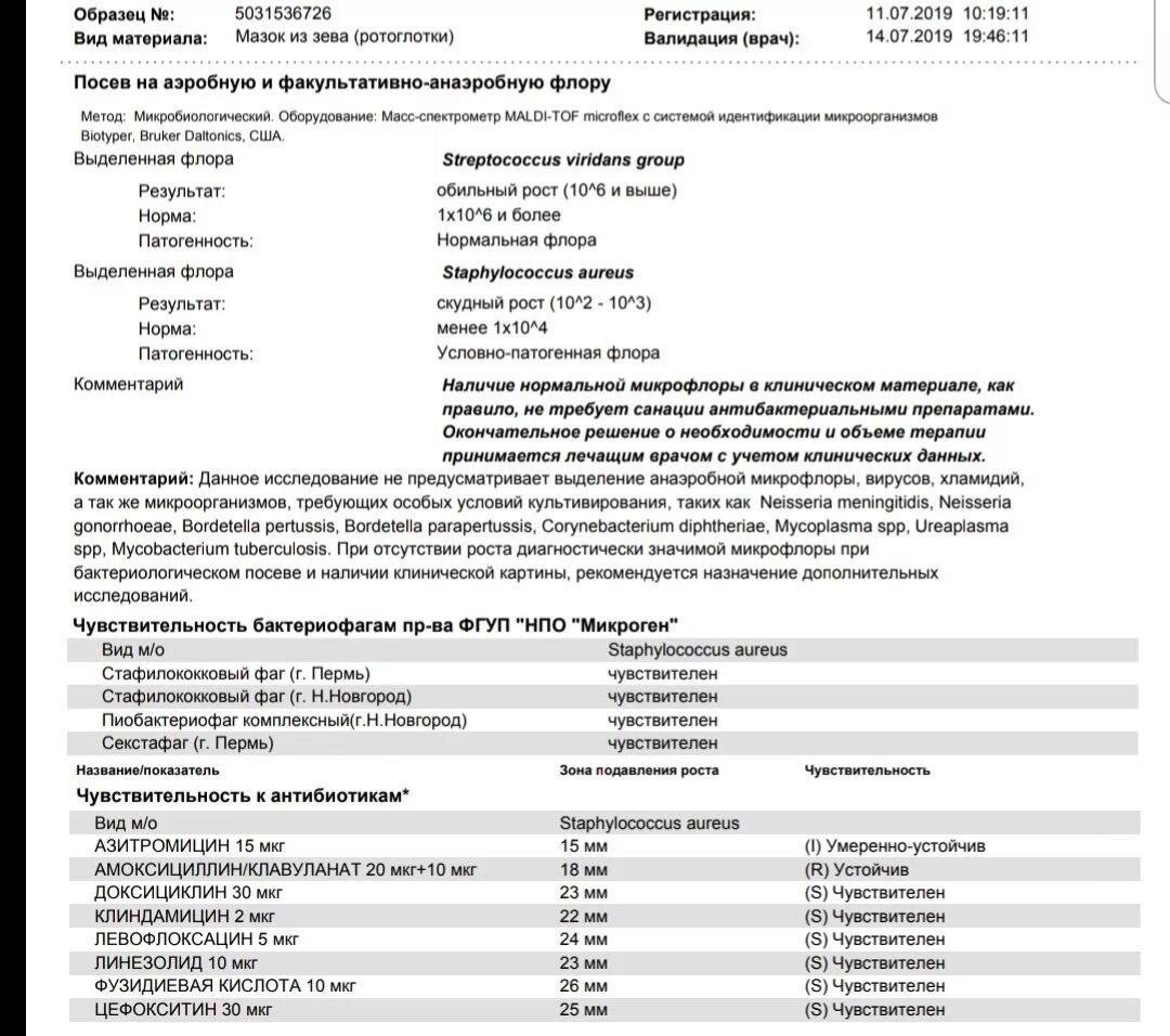 Посев лор органов. Бактериологическое исследование мазка из зева и носа норма. Мазок из зева на стафилококк норма. Мазок на микрофлору зева и носа норма. Мазок из зева на флору норма.