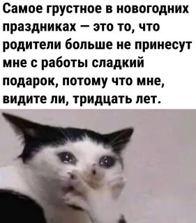 Смешные картинки 2023