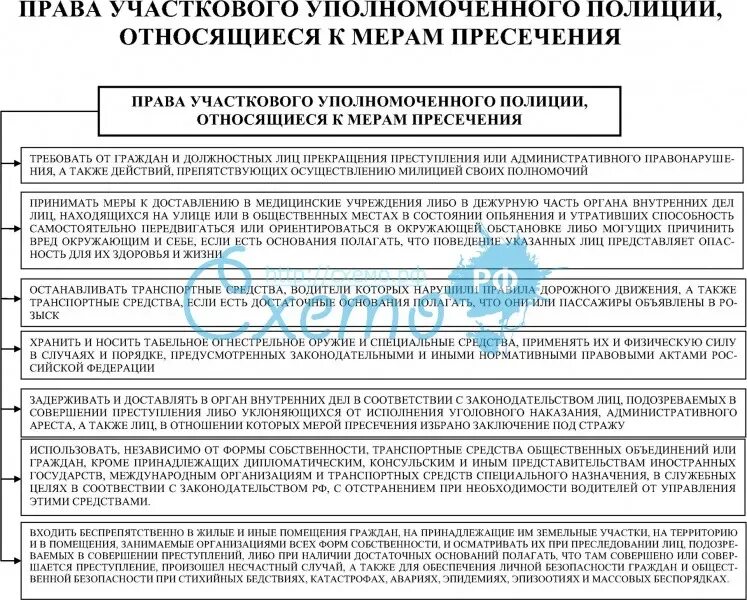 Процессуальные документы участкового уполномоченного полиции. Полномочия участковых уполномоченных. Что составляет участковый