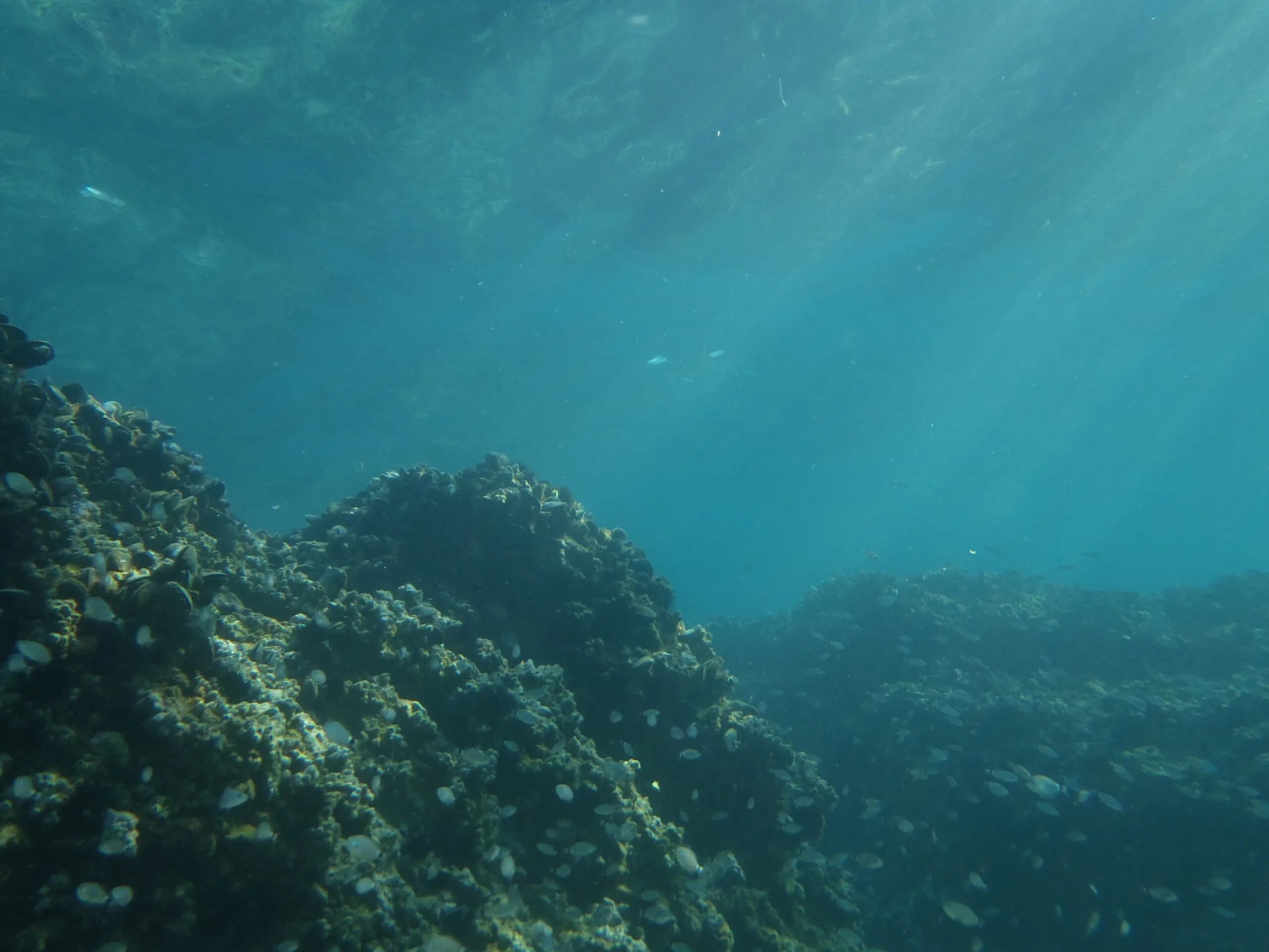 Дно океана. Морские глубины. Море глубина. Дно Тихого океана. Подводные части океана