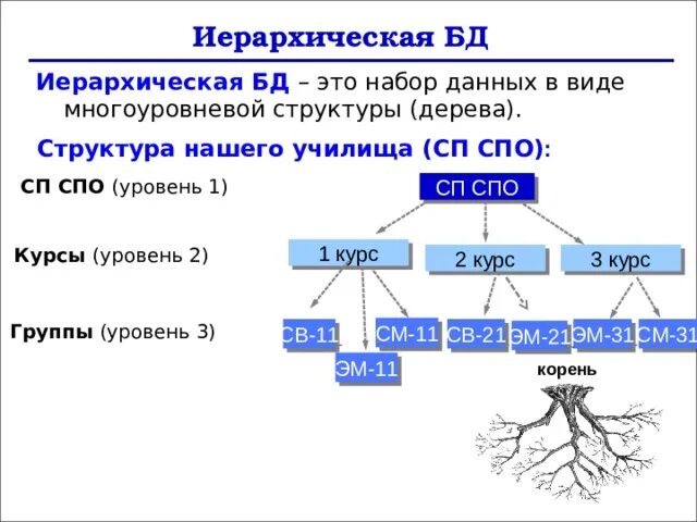 Модель иерархической структуры. Набор данных в виде многоуровневой структуры база данных. Иерархическая модель данных колледжа. Иерархическая структура дерево. Дерево строение уровни.