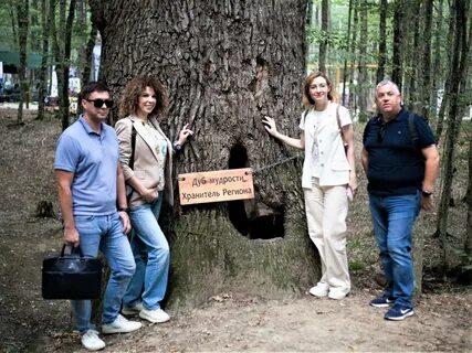 Краснодар 93 новости