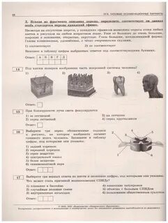 Биология огэ 2023 9 вариант