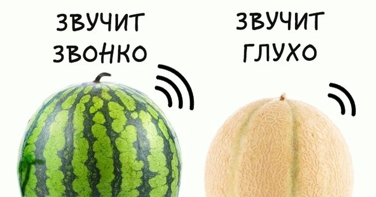 Какой звук должен быть у спелого