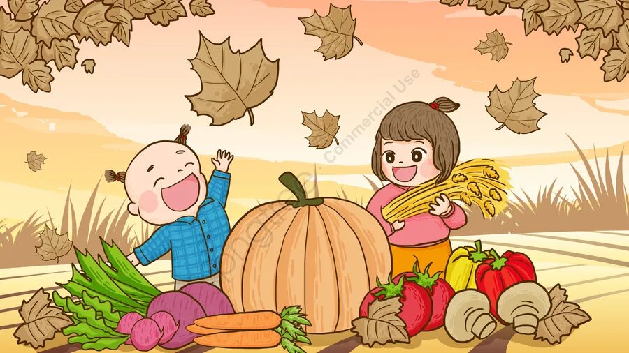 На счет урожая. Урожай иллюстрация. Осенний урожай рисунок. Уборка урожая для детей. Осенний сбор урожая.