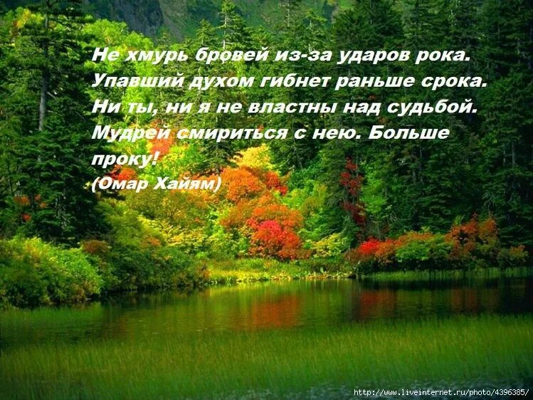 Рока гибнет раньше срока. Афоризмы про красивую природу. Красивые высказывания о природе. Афоризмы о природе. Красивые слова про красоту природы.