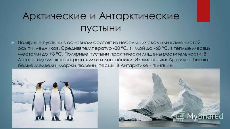 Почему зона арктических пустынь имеет такое название. Арктических и антарктических пустынь. Природные зоны арктические и антарктические пустыни. Природная зона арктических и антарктических пустынь. Арктические и антарктические пустыни особенности.