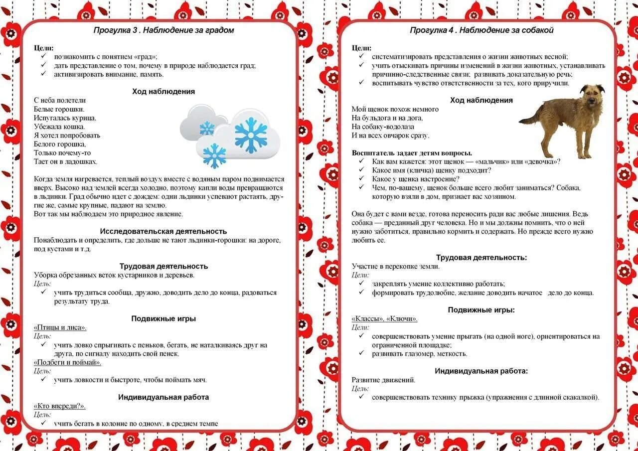 Прогулка ноябре цели