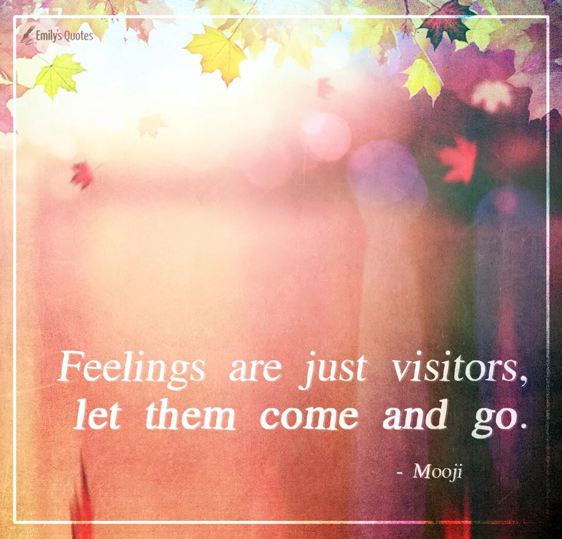 Feelings redfeel. Quotes about feelings. Feelings emotions quotes. Feel quotes. Feelings моменты.