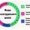 Вторая фаза менструационного цикла