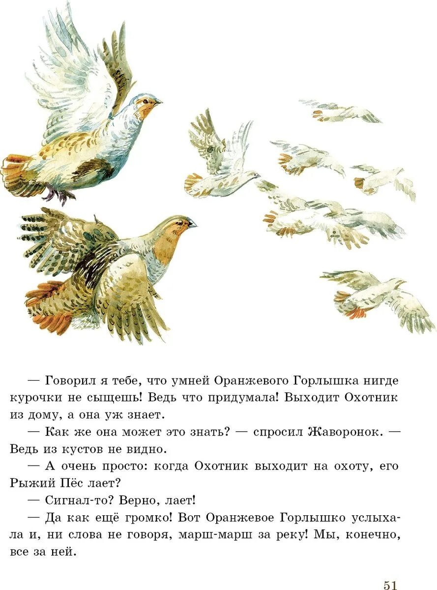 Читательский дневник бианки оранжевое. Бианки в. "оранжевое горлышко". В В Бианки оранжевое горлышко Мурзик. Бианки оранжевое горлышко книга.