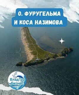 Телеграмм коса