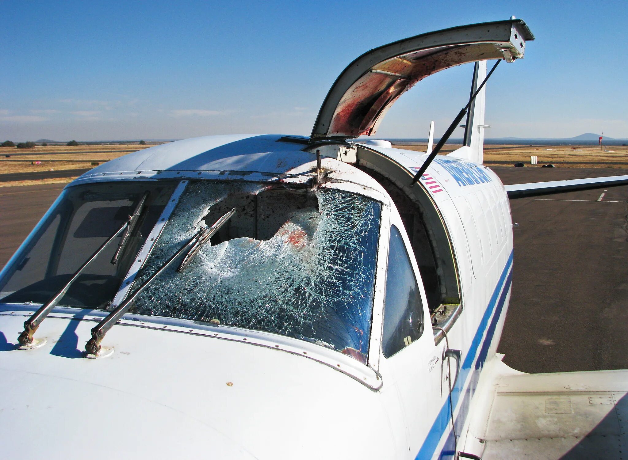 Повреждение самолетов. Птица в лобовое стекло самолета. Столкновение самолета с птицей. Дворники на самолете.