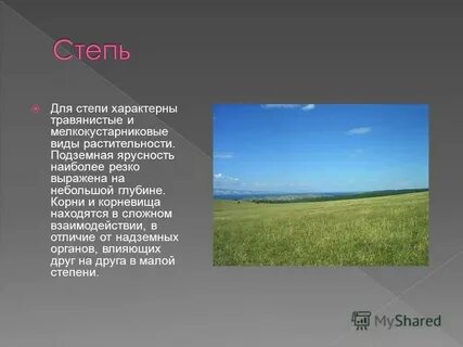 Степь характерно