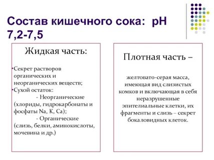 Соки тонкой кишки