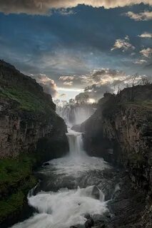 White falls
