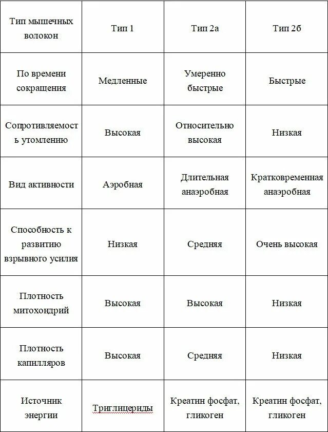 Заполните таблицу виды мышечных волокон медленные быстрые. «сравнительная характеристика типов мышечных волокон». характеристики мышечных волокон 2 типа. сравнительная характеристика белых и красных мышечных волокон. типы мышечных волокон таблица.