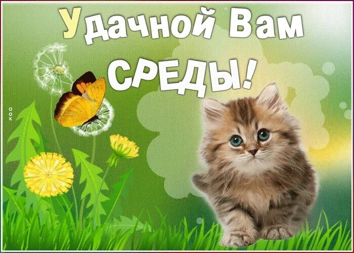 Доброе весеннее утро среды и хорошего настроения. Красивые поздравления со средой. доброе утро среда. открытка со средой и хорошего дня. открытки отличной среды.