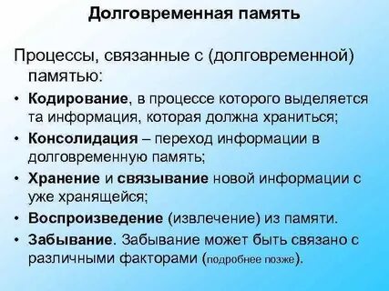 Долговременная память нейроны долговременной памяти