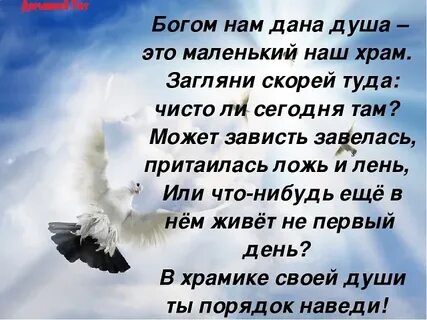 Душа богу понятие