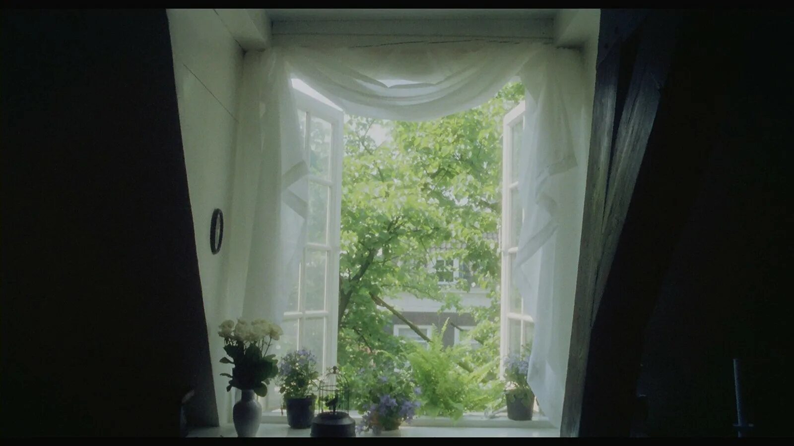 Открытое окно с занавесками. Окно с занавеской gif. Занавеска из окна. Распахнутые окна со шторами.